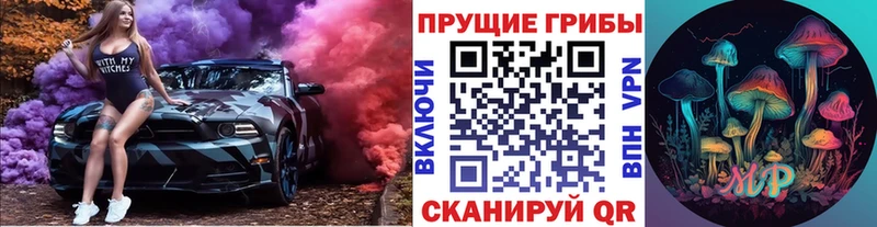 Псилоцибиновые грибы прущие грибы магазин продажи наркотиков Темников