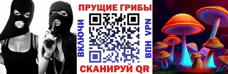 Галлюциногенные грибы Psilocybine cubensis Темников